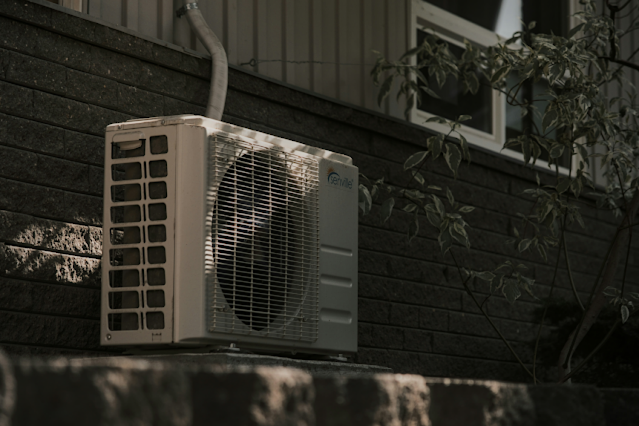 Concluding Thoughts: A Cool, Healthy Summer Awaits!