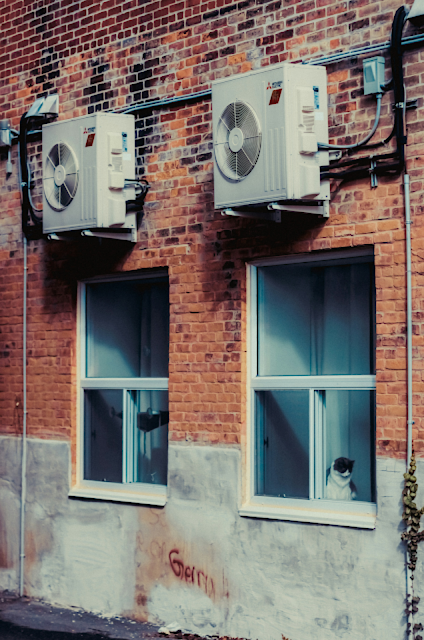 An air conditioner and a separate dehumidifier working together in a living room, highlighting humidity control.