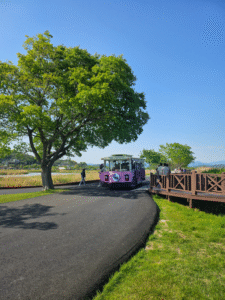 Suncheonman National Garden & Hidden Gems