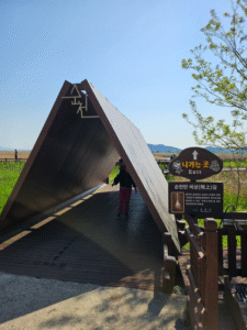 Suncheonman National Garden & Hidden Gems